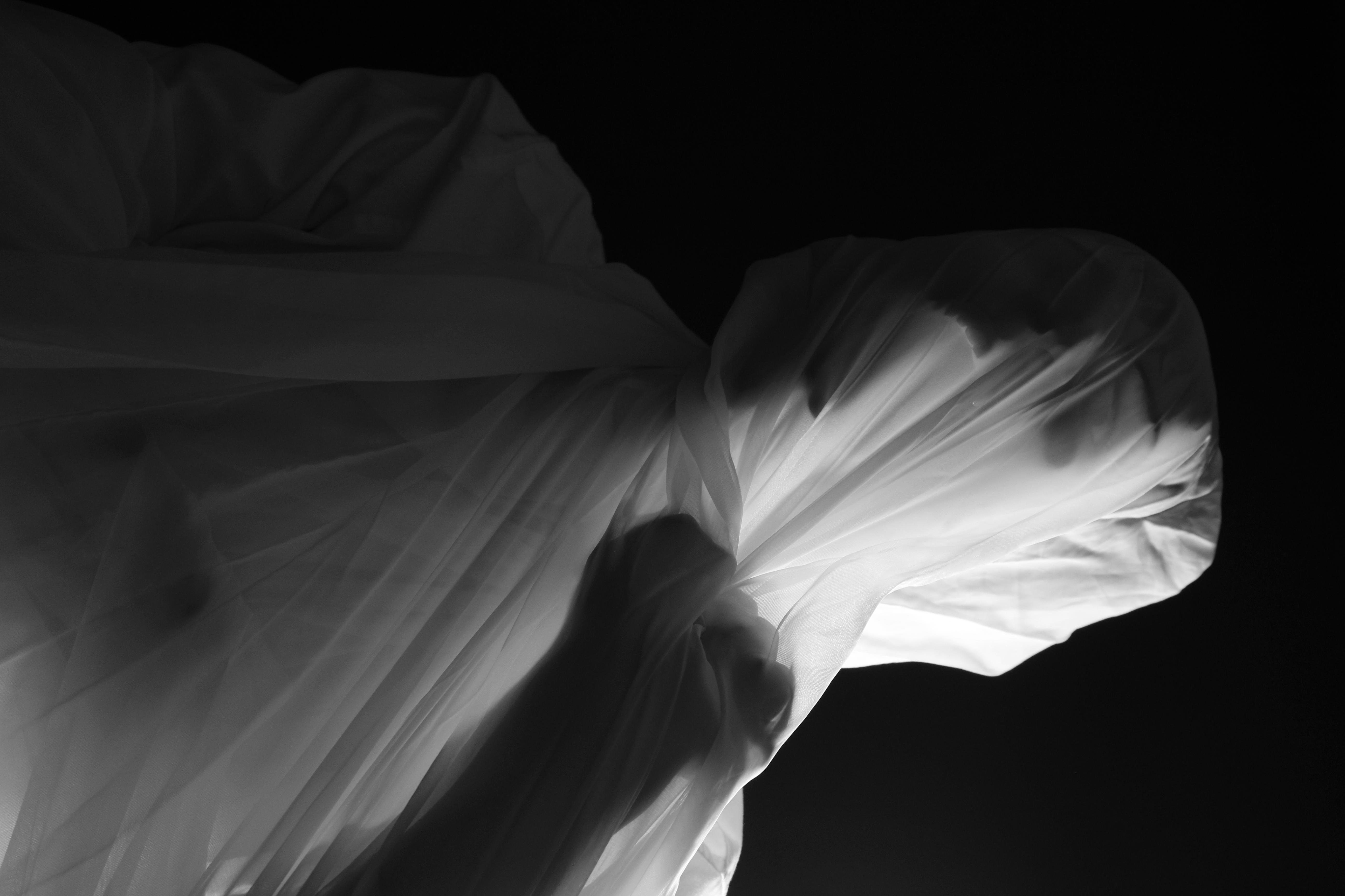 Fighting The Veil